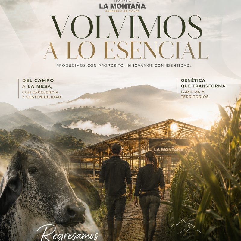 Publicación de Instagram: volvimos a lo esencial
